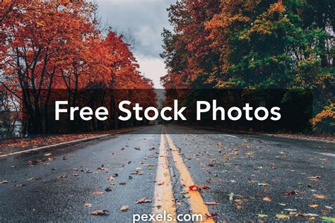 pexels.com copyright free video download|Are there any good free sites for stock videos/clips that can